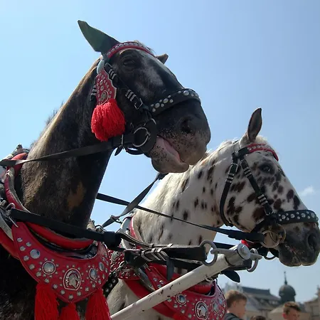 Daire Anno Domini By Cozyplace *