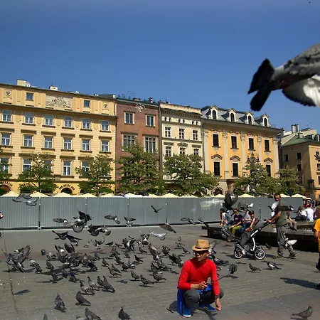 Anno Domini By Cozyplace Daire