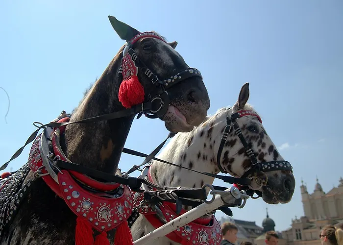 דירה Anno Domini By Cozyplace *